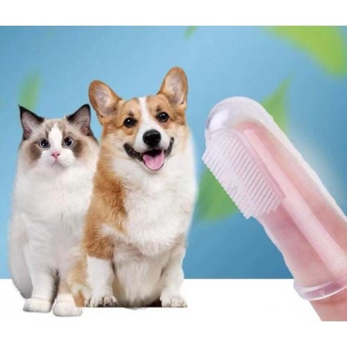 Kedi Köpek Diş Fırçası
